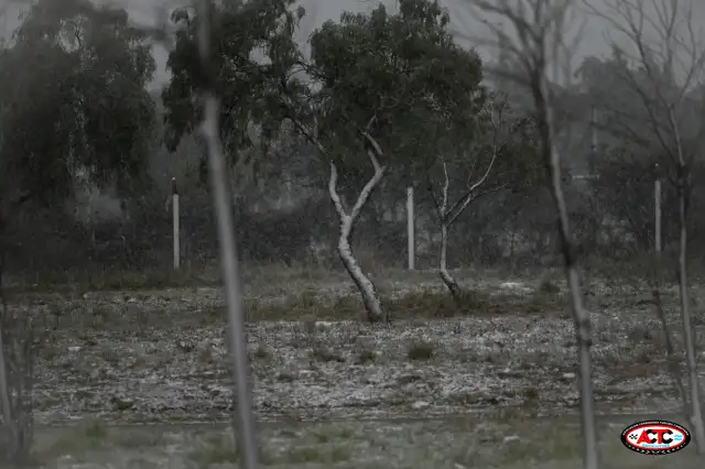 El TC bajo la nieve 1