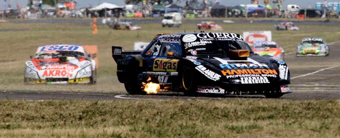 Un toro bravo